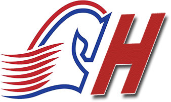 長沙市飛宏電腦公司企業(yè)LOGO 長沙市飛宏電腦公司企業(yè)LOGO